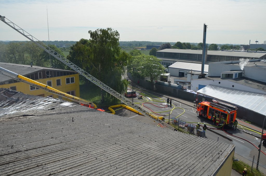 Grossfeuer Poco Lager Koeln Porz Gremberghoven Hansestr P906.jpg - Miklos Laubert